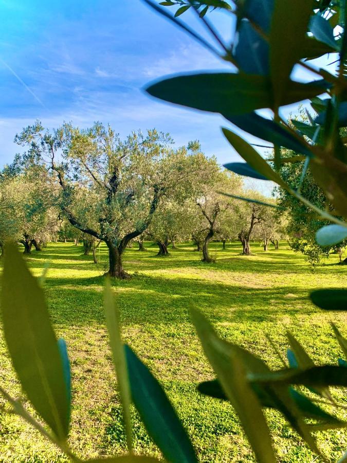 Podere al Fico B&B Collemezzano Esterno foto